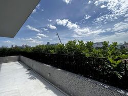 Whitley Road (D11), Terrace #557203231